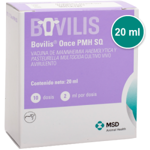 bovilis-once