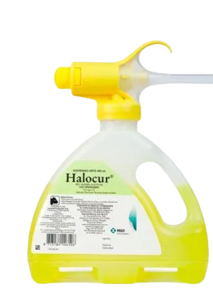 halocur