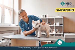 farmacia-productos-veterinarios