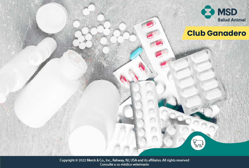 como-desechar-medicamentos-caducados