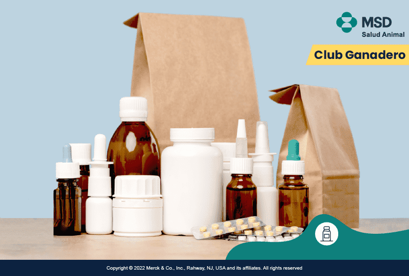 como-vender-productos-veterinarios