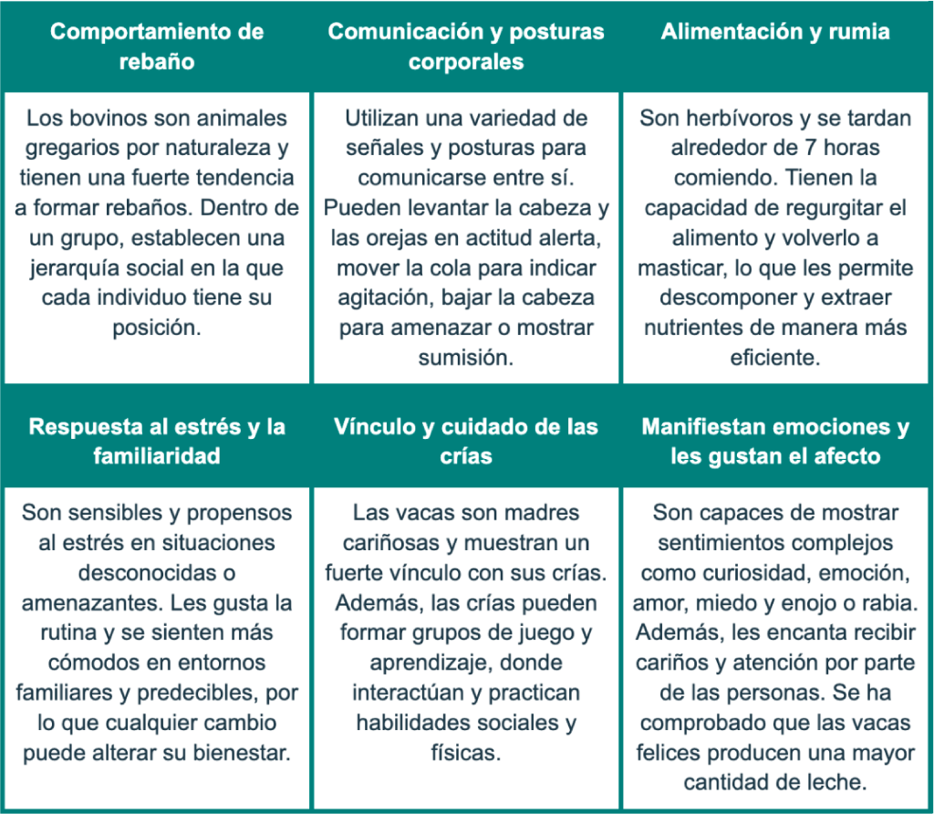 lenguaje de los bovinos