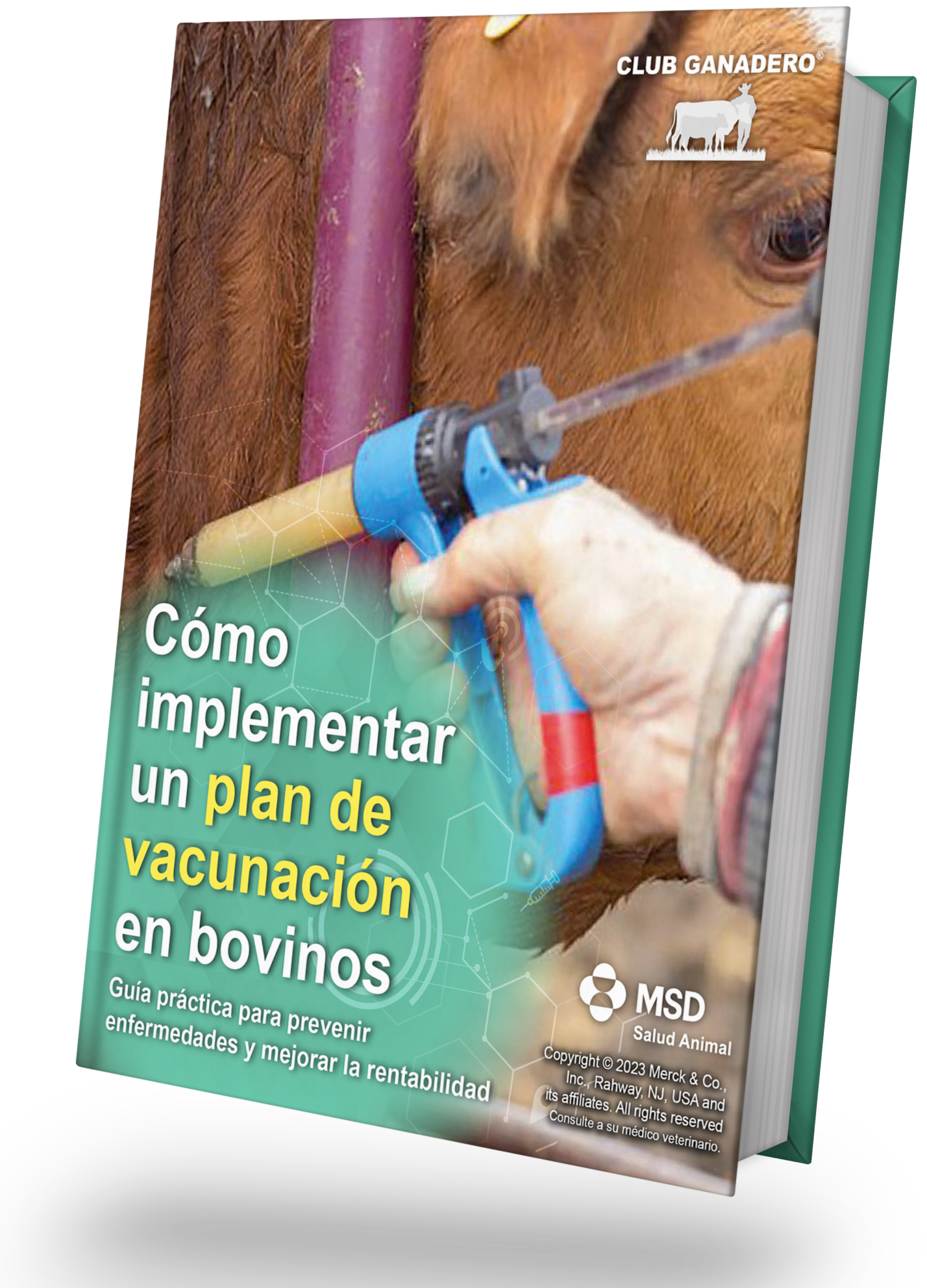 ebook-vacunación