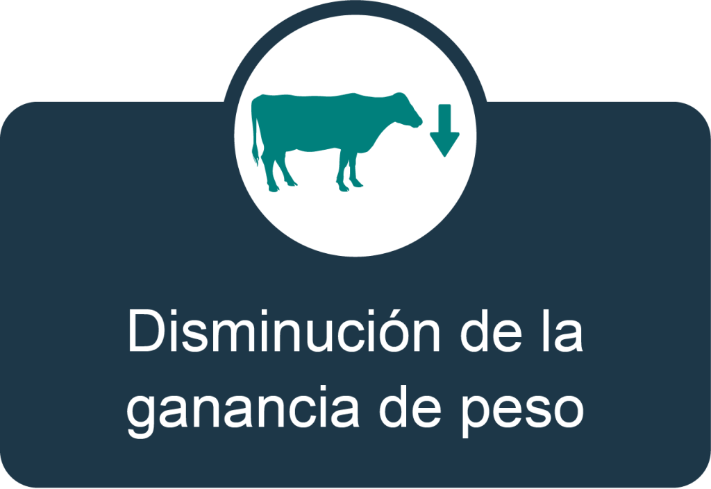 peso