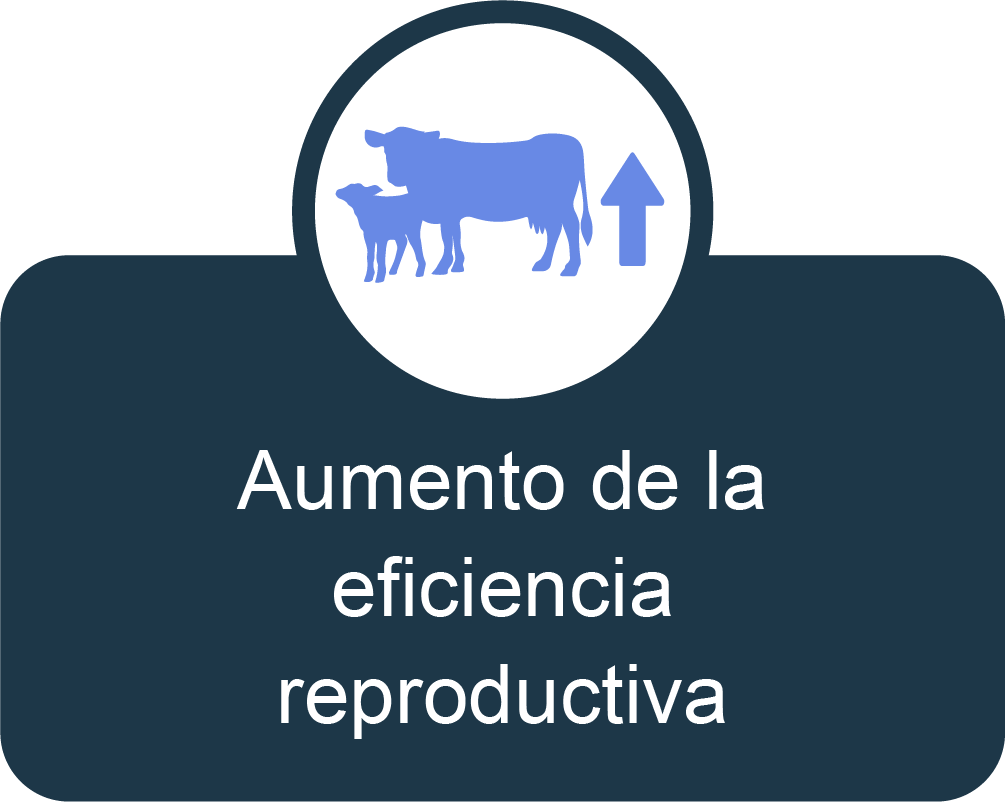 eficiencia-reproductiva