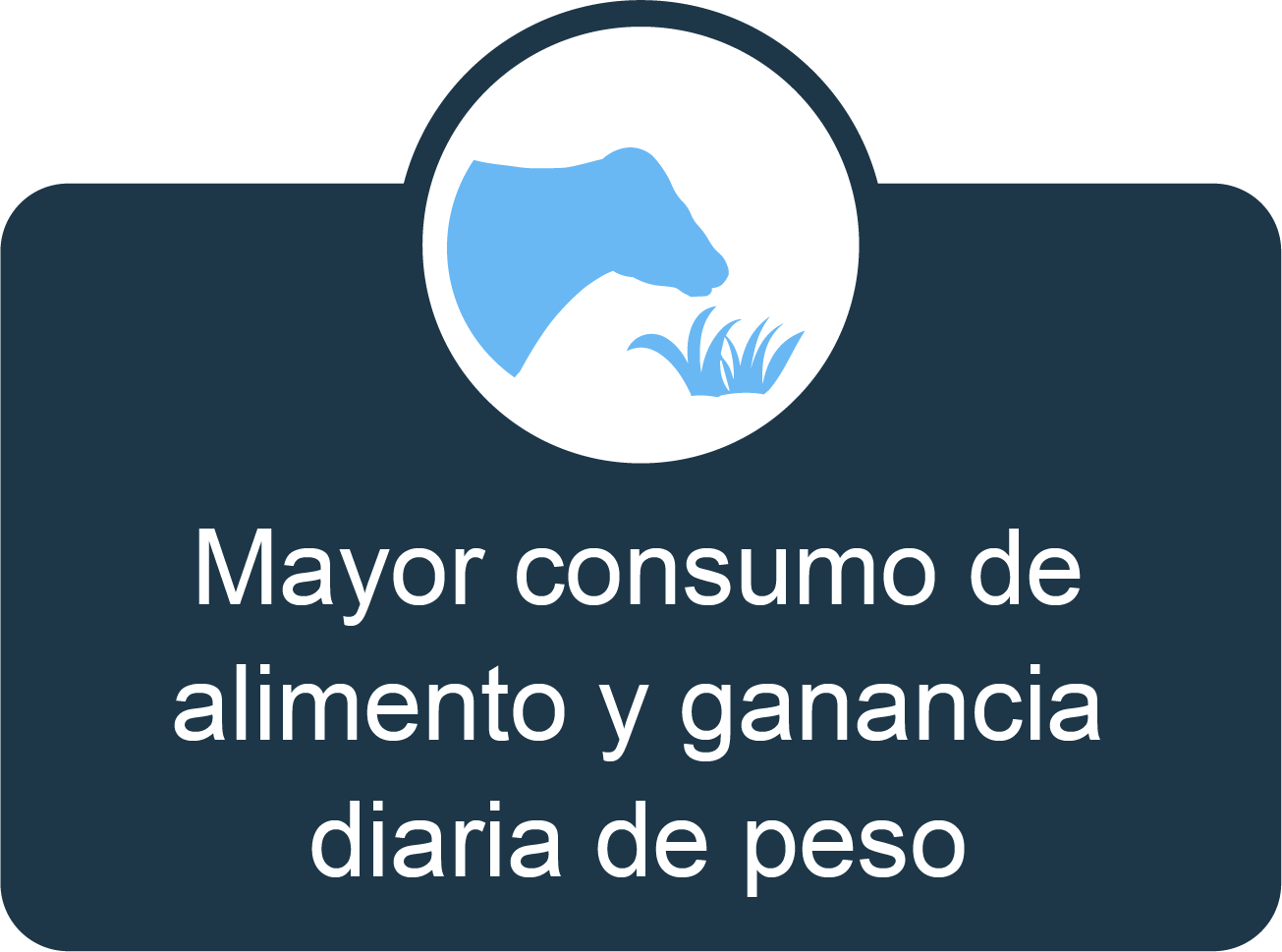 peso