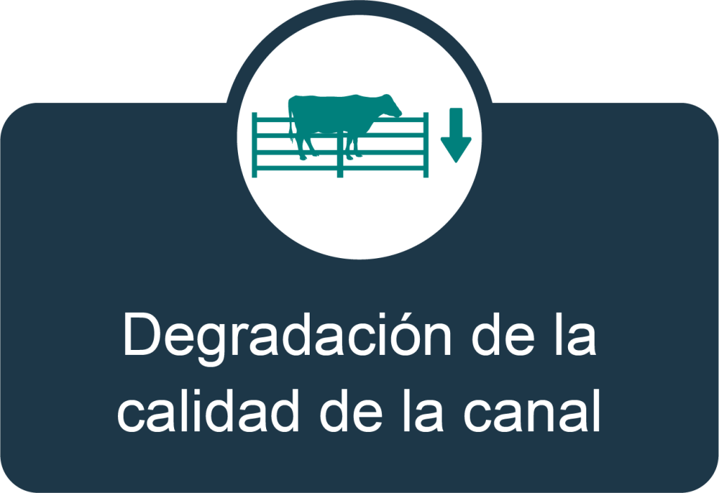 canal