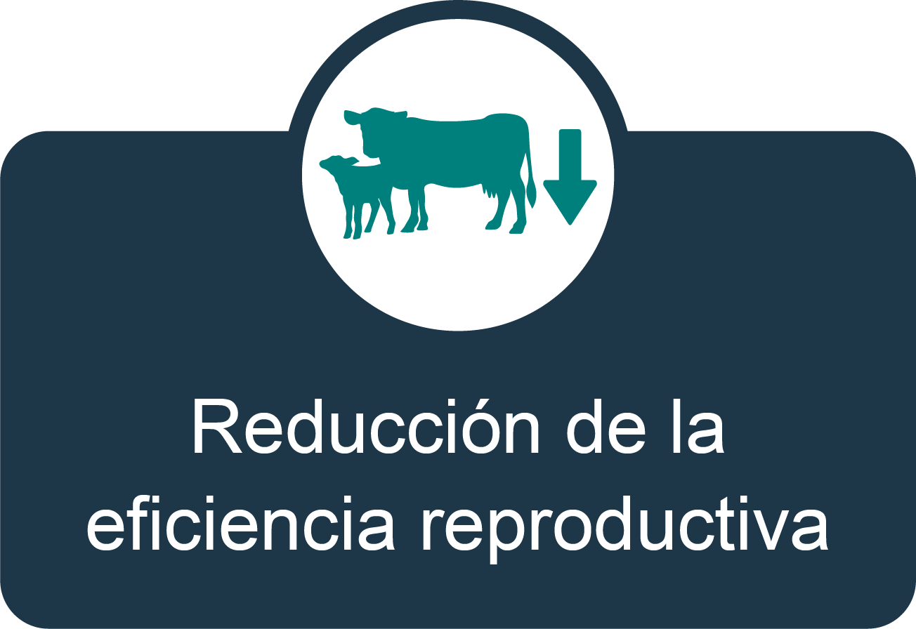eficiencia-reproductiva