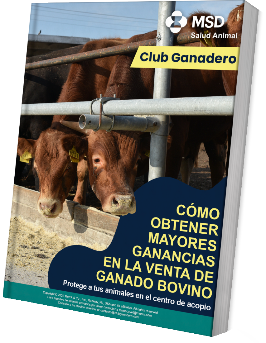 ebook-acopios