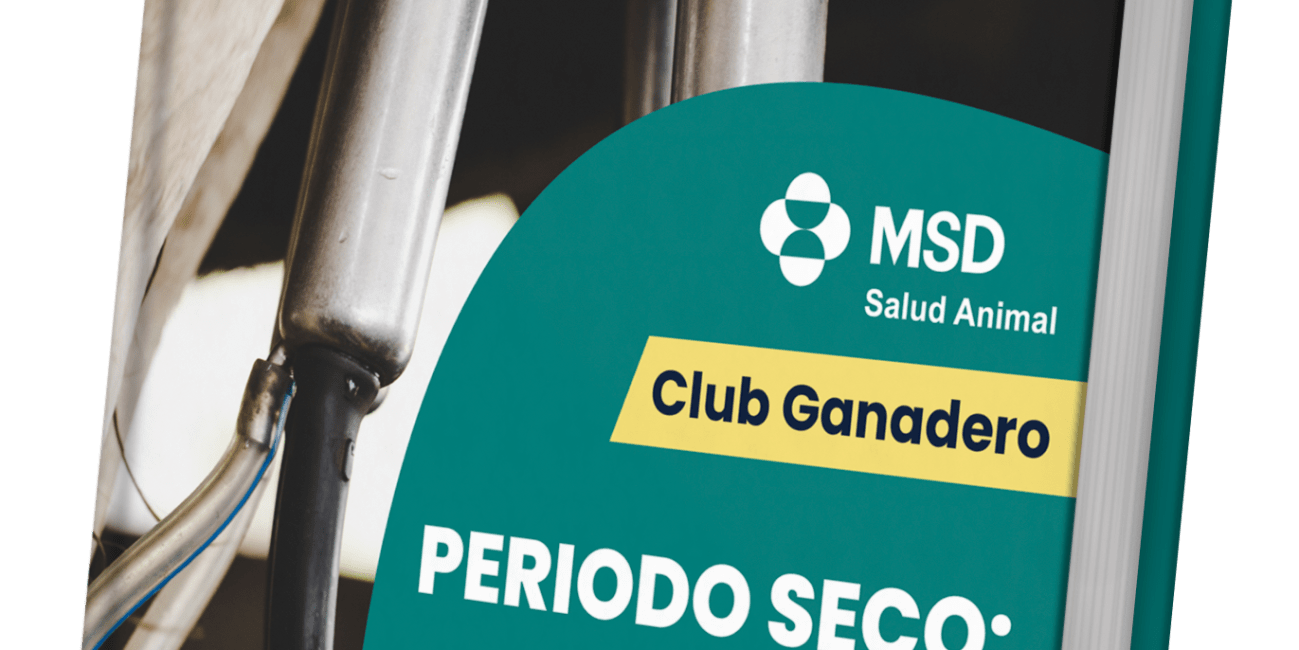 periodo-seco