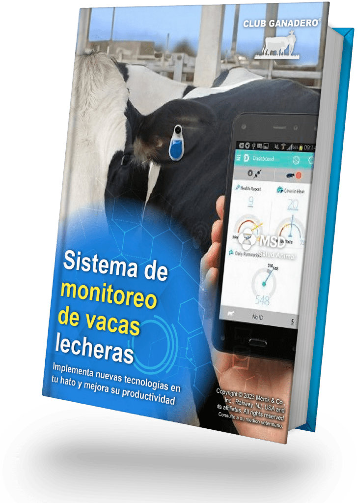 ebook-monitoreo