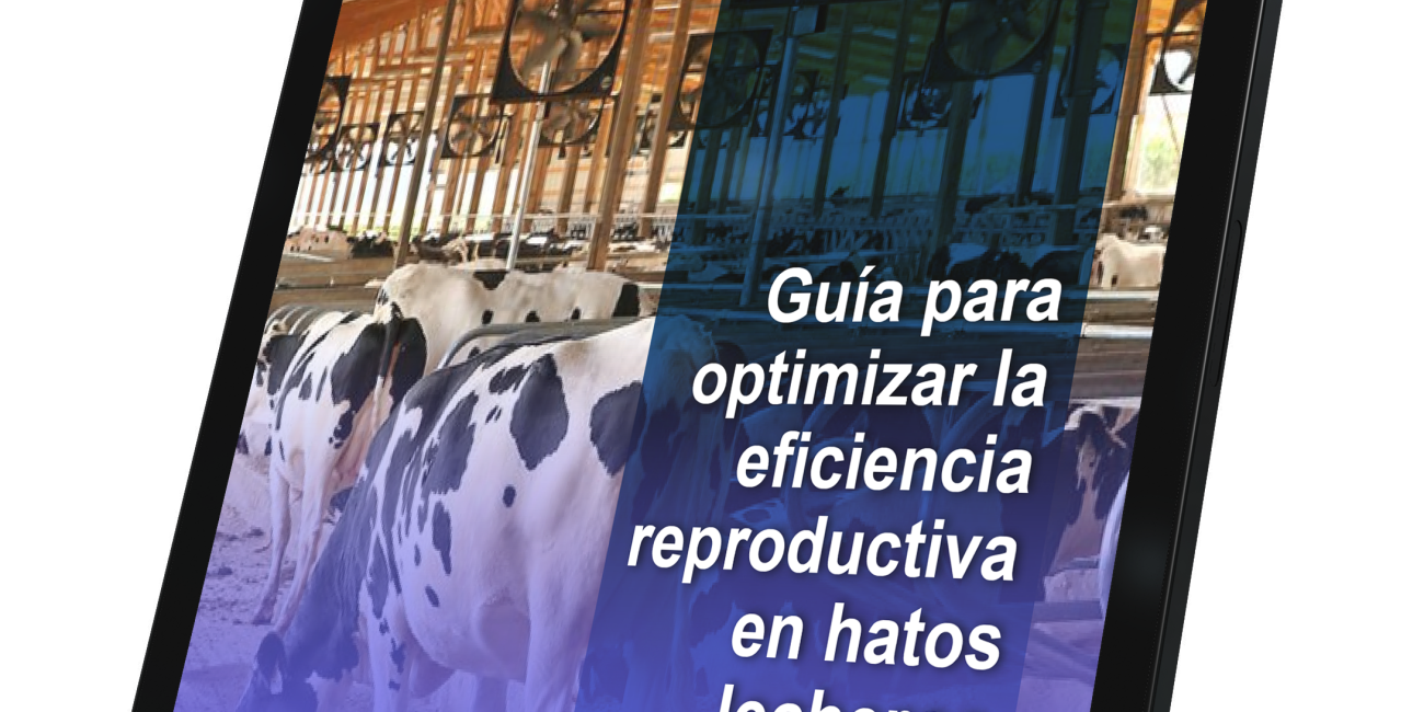 ebook-reproduccion