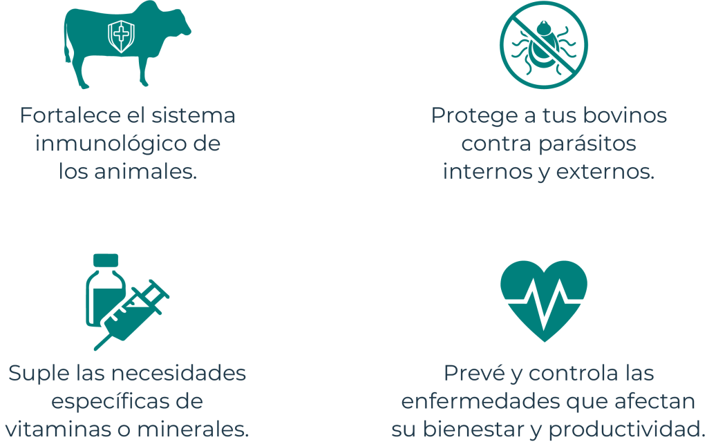 4-puntos