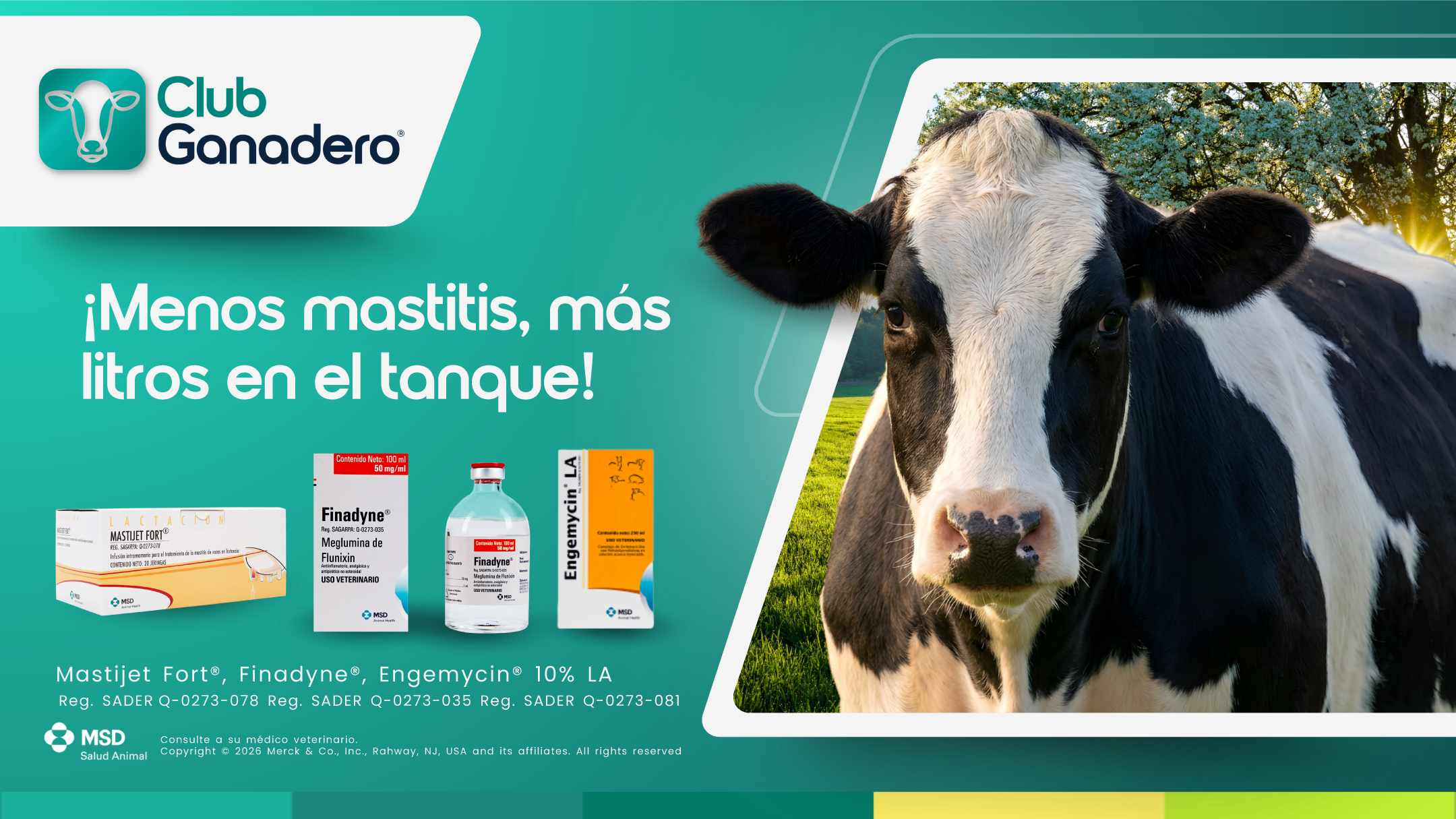Club ganadero leche