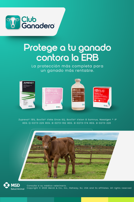 Club Ganadero Carne mobile