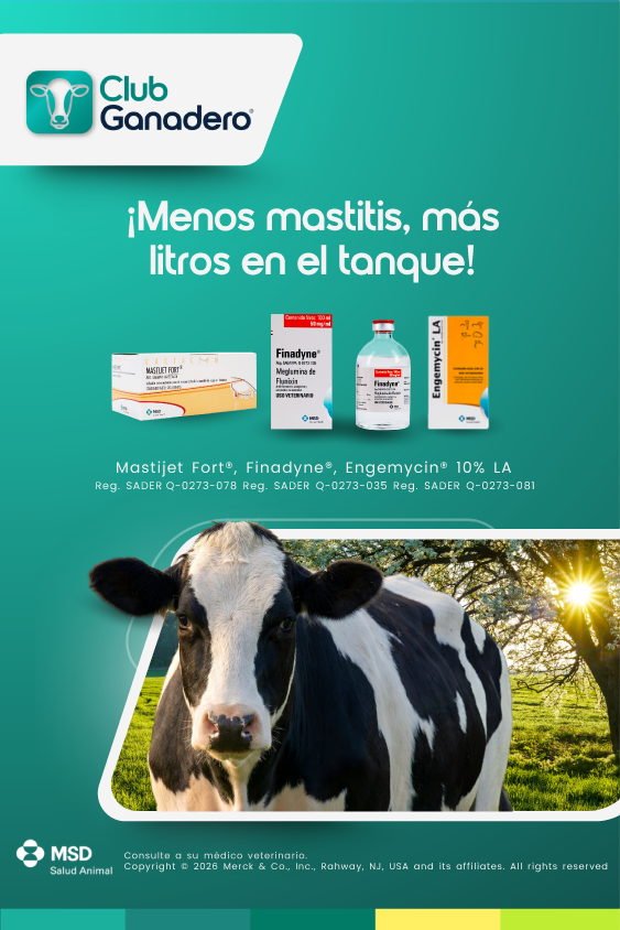 Club ganadero leche mobile