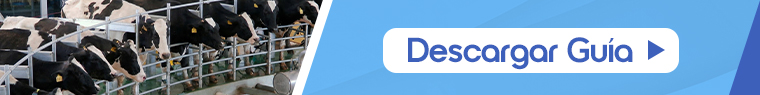 CTA Descarga guía 