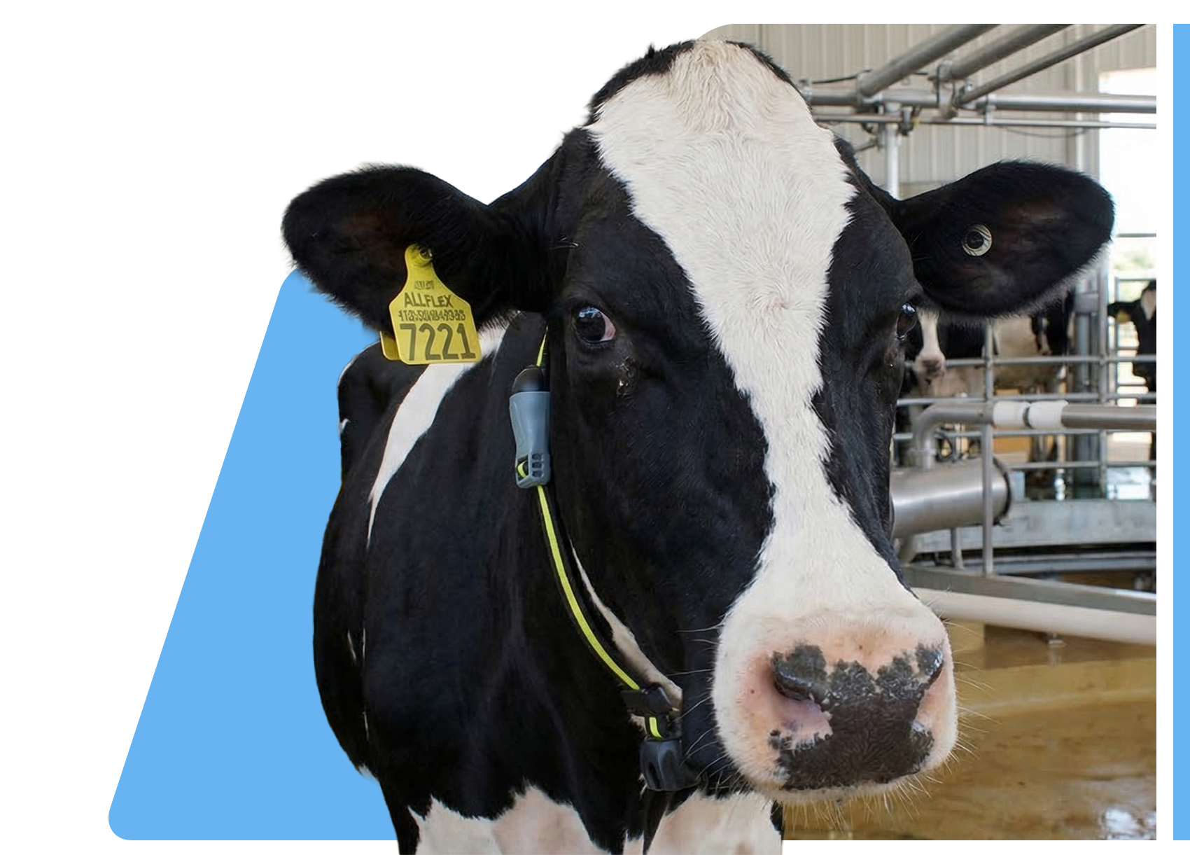 Descarga esta guía gratuita y aprende a blindar tu producción