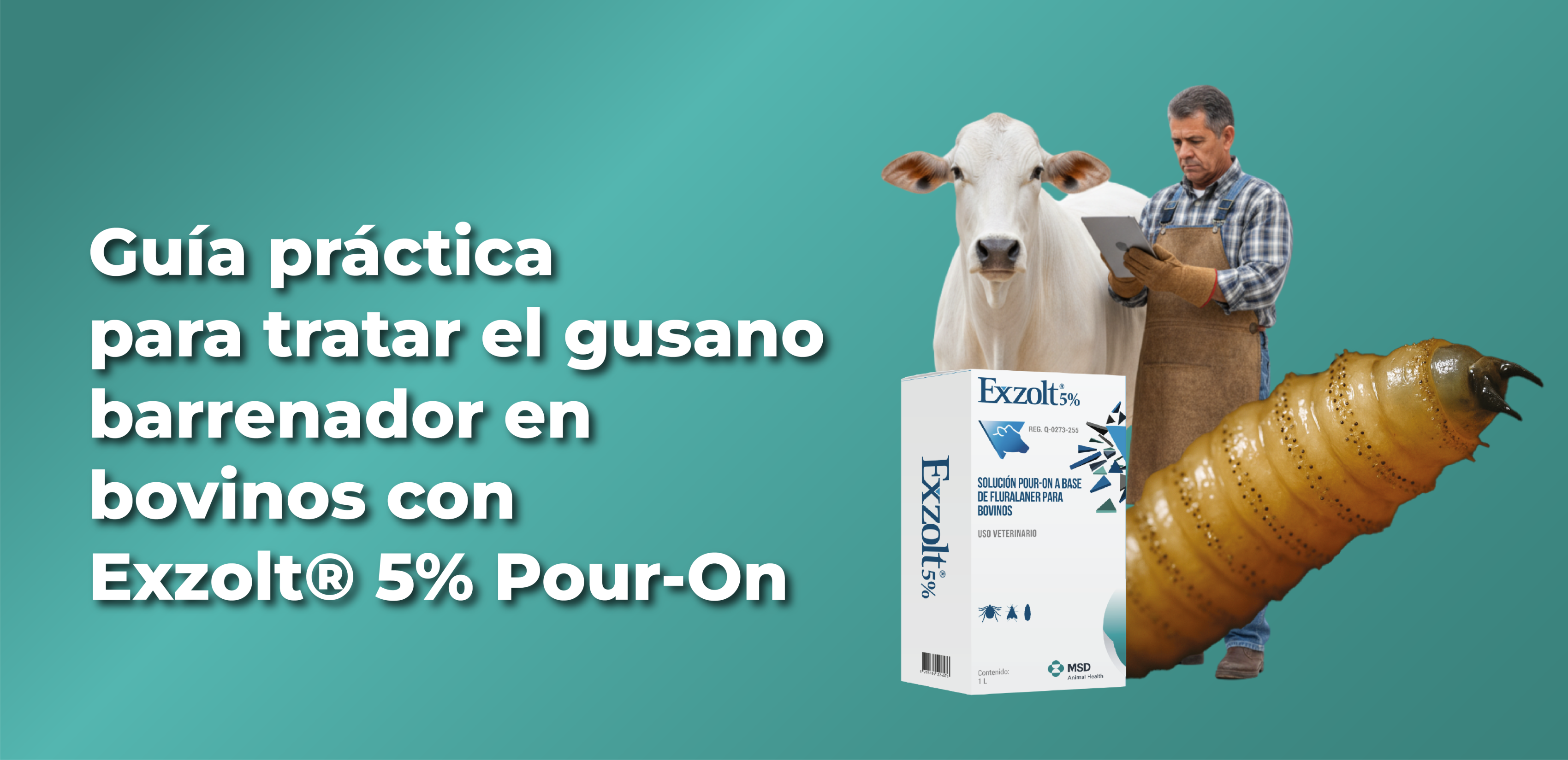 Guía práctica para tratar gusano barrenador