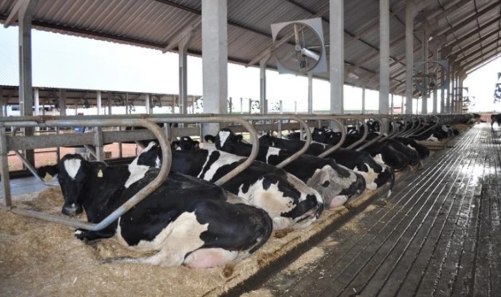 Cierre de ciclo en la rutina de ordeño